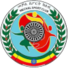埃塞俄比亚国防军logo