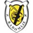 雷都米结logo